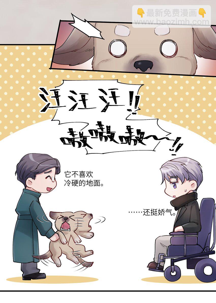 《烧不尽》第43章 结束了？ 第11页