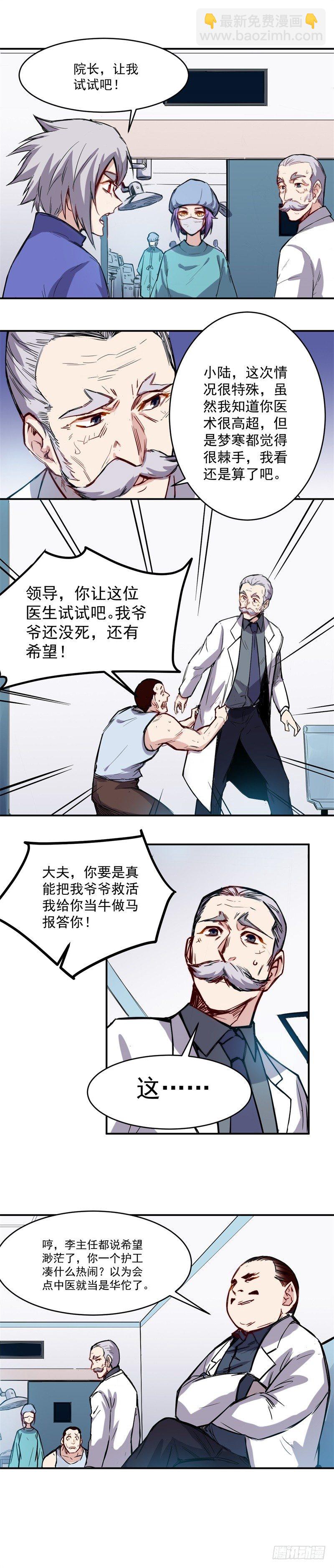《巅峰神医》第21话 尝试 第2页