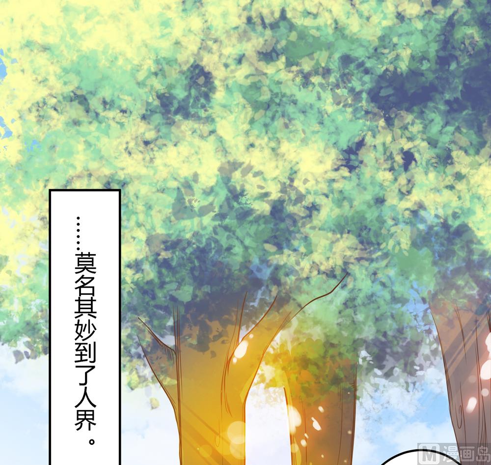 《王爷的小兔妖（新）》第6话 终于找到你了 第10页