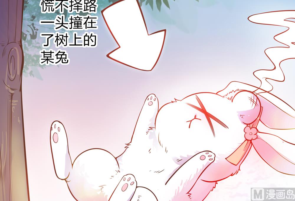 《王爷的小兔妖（新）》第9话 兔子蹬山 第8页