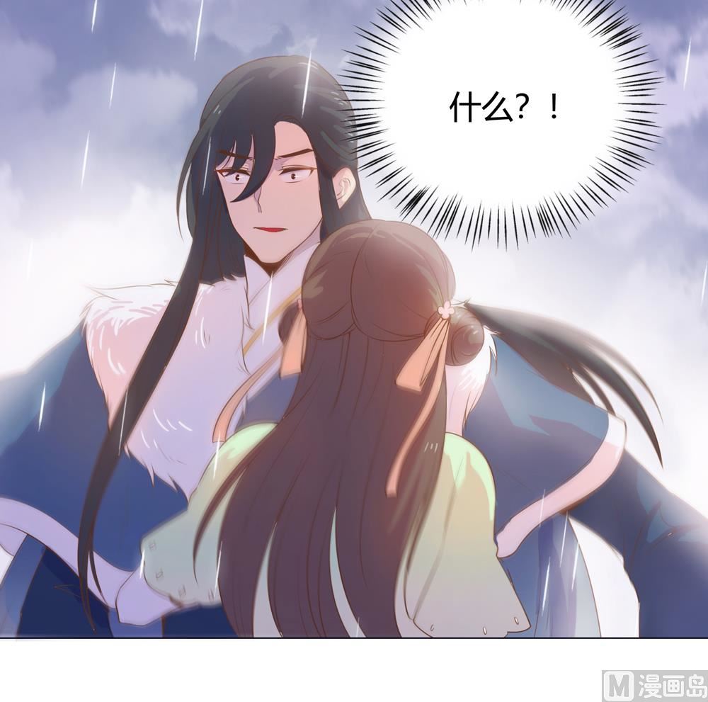 《王爷的小兔妖（新）》第15话 这次不会再把你跟丢了 第33页