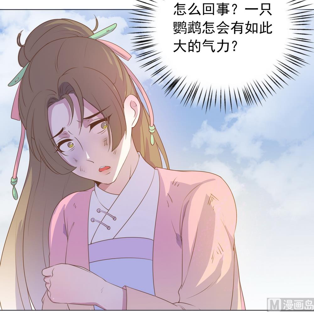 《王爷的小兔妖（新）》第30话 不能说的秘密 第41页