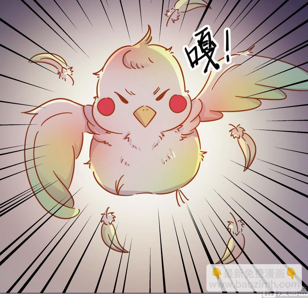 《王爷的小兔妖（新）》第36话 心动的感觉 第49页