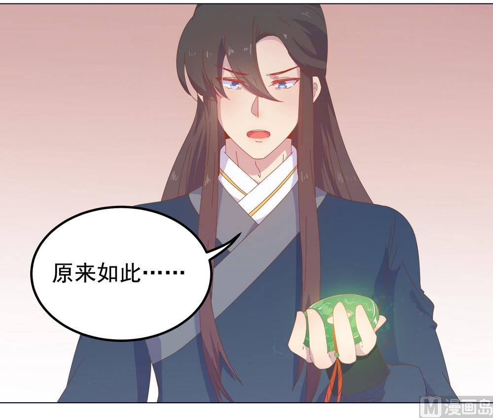 《王爷的小兔妖（新）》第45话 穆北的身世 第9页