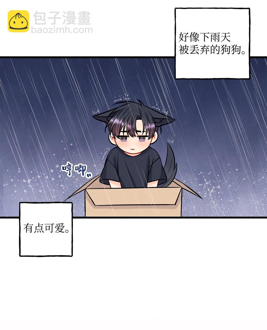 《顶流男团的私生活》28 被丢弃的狗狗 第48页