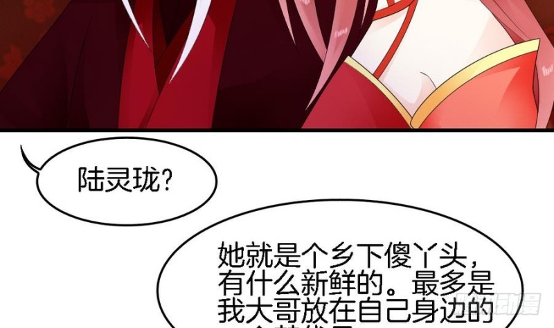 《玲珑吾妻》第40话 如此相似之人 第13页