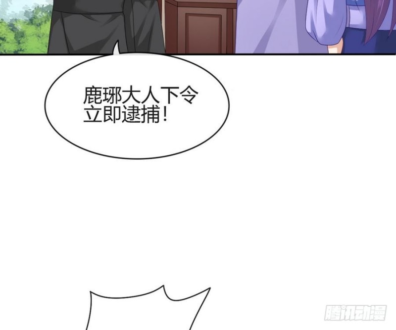 《玲珑吾妻》第45话 栽赃 第28页