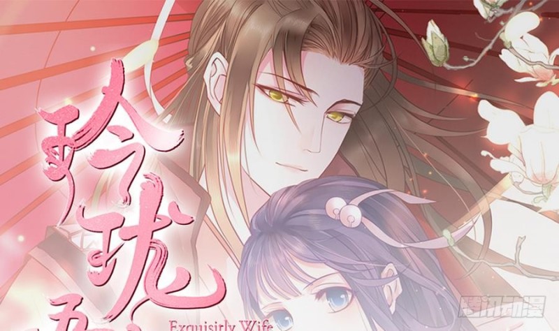 《玲珑吾妻》第48话 非礼勿动！ 第1页