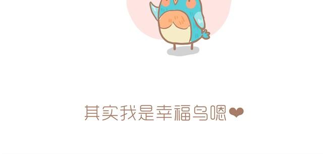《发光体》知更鸟 第19页