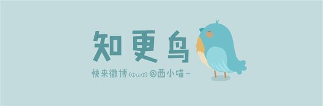 《发光体》知更鸟 第1页