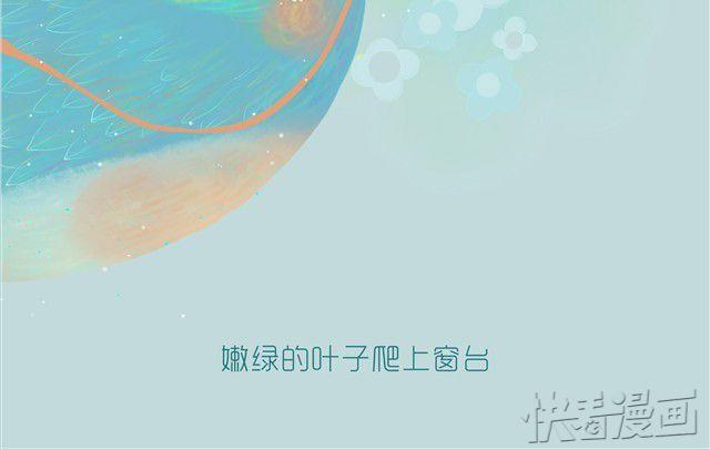 《发光体》知更鸟 第7页