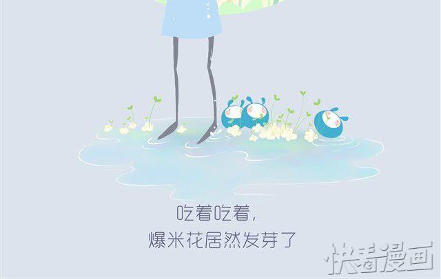 《发光体》眼泪 第13页