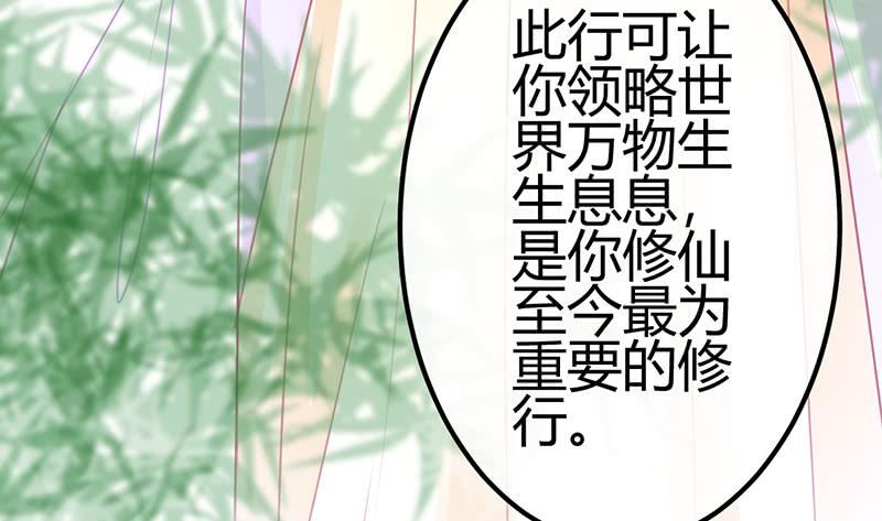 《锦鲤大神帮帮我！》初见 第16页