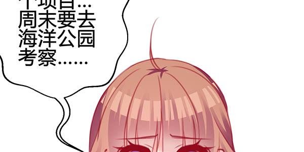 《锦鲤大神帮帮我！》出发！海洋公园！ 第4页