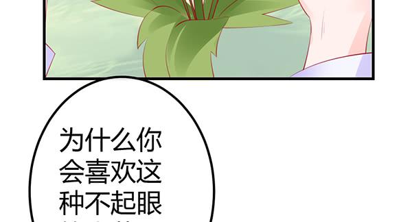 《锦鲤大神帮帮我！》离去的背影 第47页