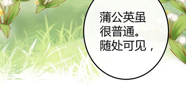 《锦鲤大神帮帮我！》离去的背影 第50页