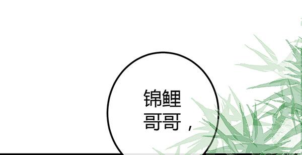 《锦鲤大神帮帮我！》抉择 第47页