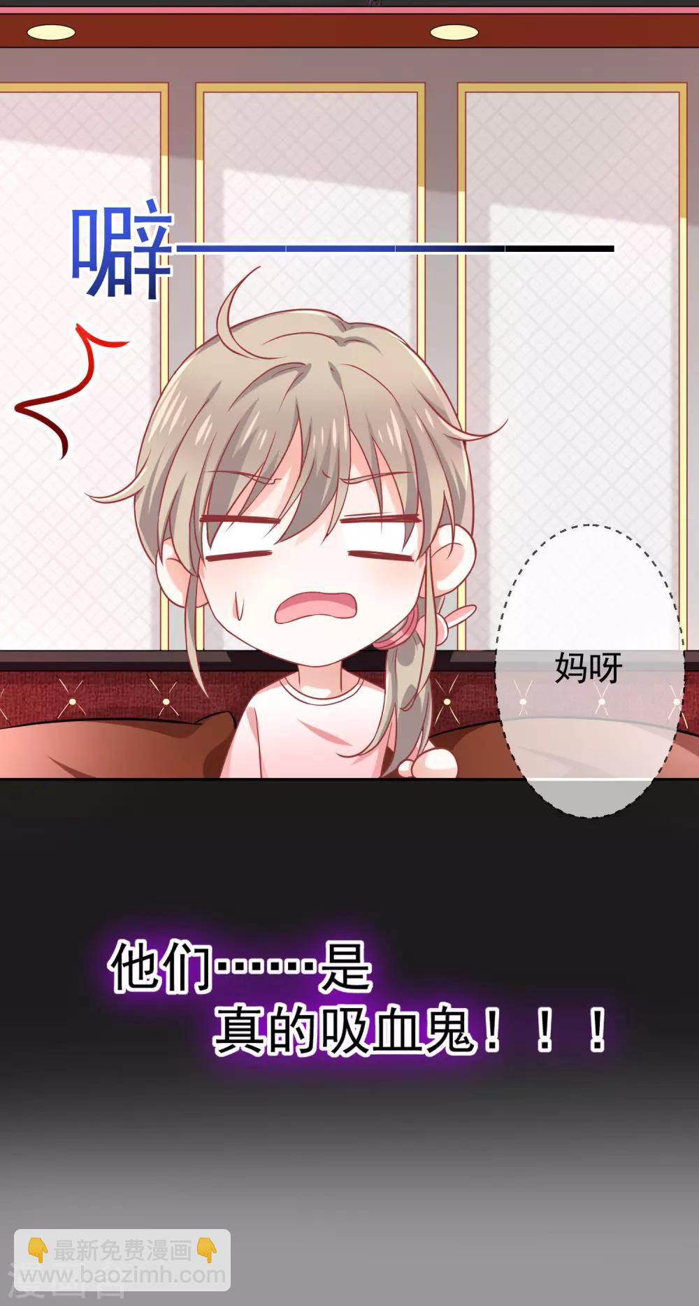 《我与吸血鬼偶像的日子》第1话 他们的秘密 第27页