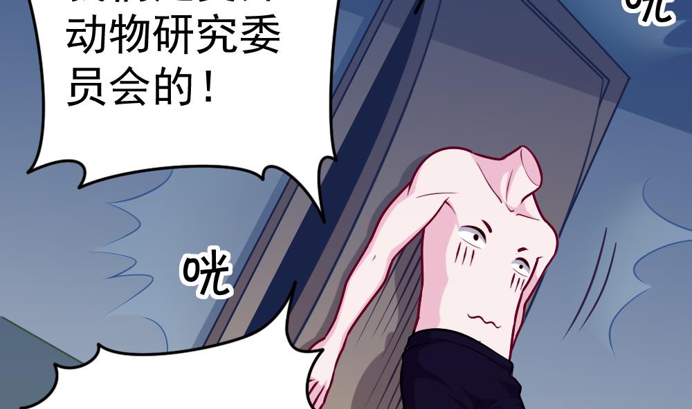 《无头阿宝》第26话 柳暗花明 第13页