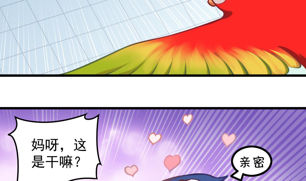 《无头阿宝》第052话 可爱的小鹦鹉 第35页