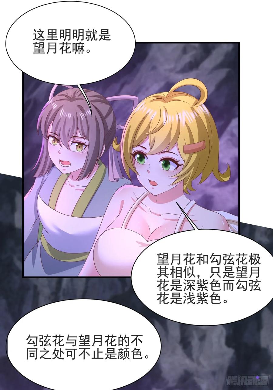 《开局签到 七个师姐带我飞》30萧恒表白风婷云 第10页