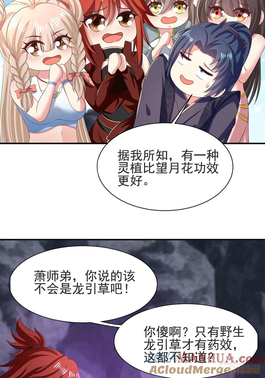 《开局签到 七个师姐带我飞》30萧恒表白风婷云 第15页