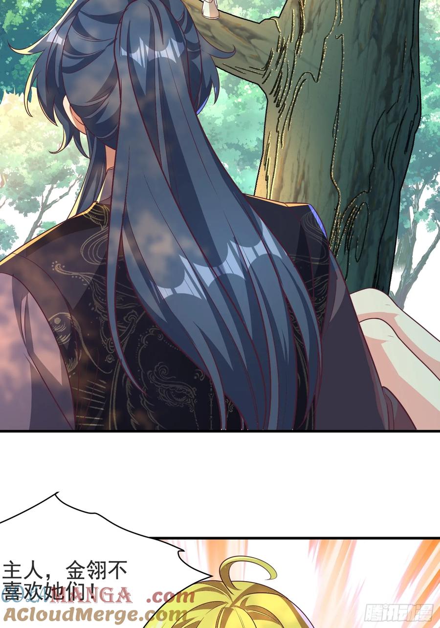 《开局签到 七个师姐带我飞》53风婷云变猫女？！ 第4页