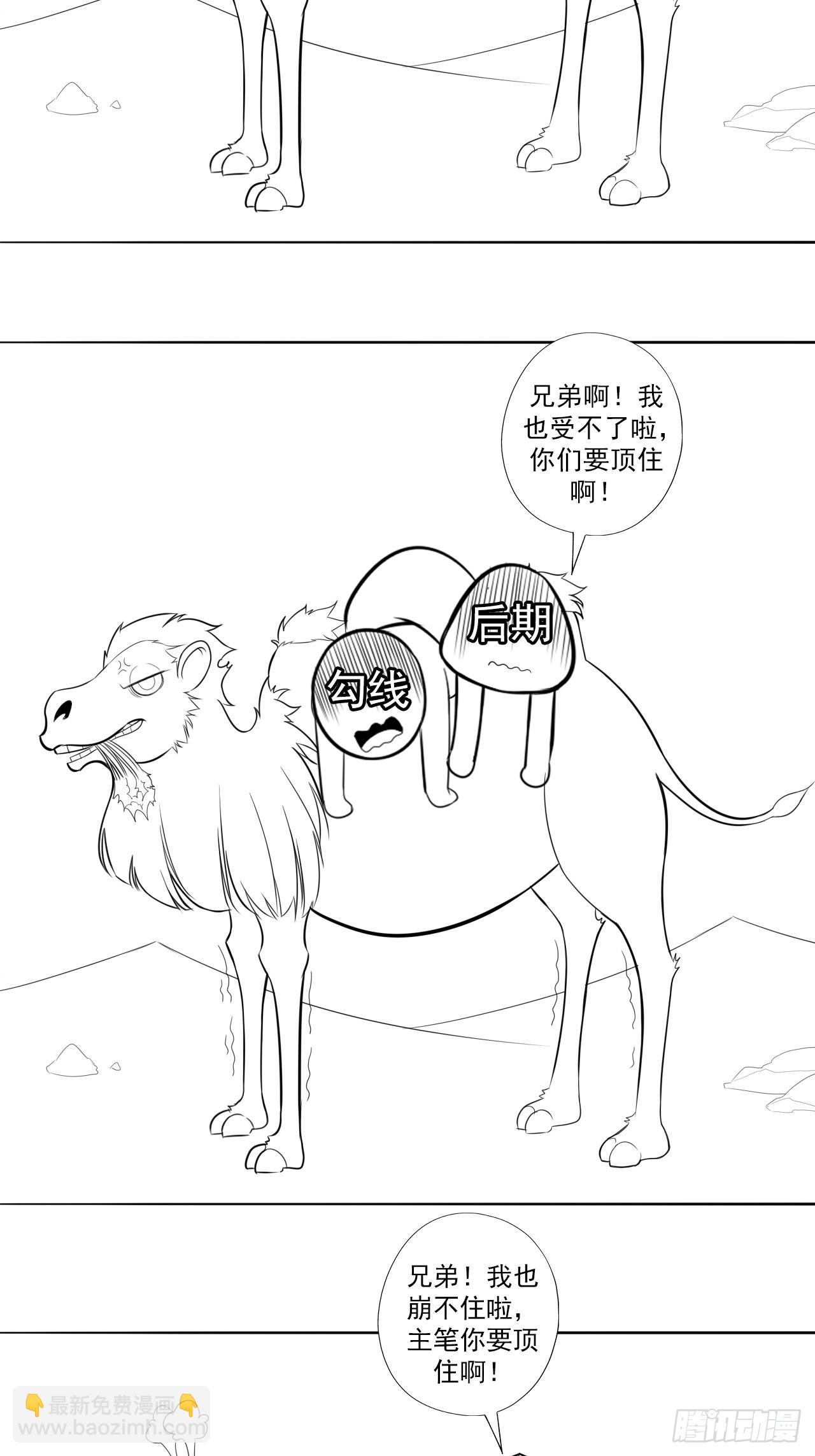 《地核之子》一只骆驼的故事 第2页