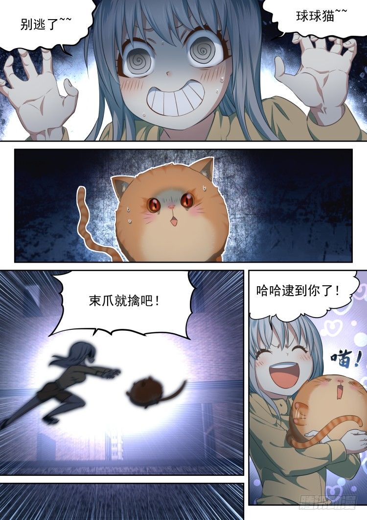《异变生物可以吃》有关猫的秘密计划 第12页