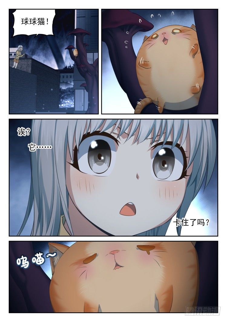 《异变生物可以吃》有关猫的秘密计划 第14页