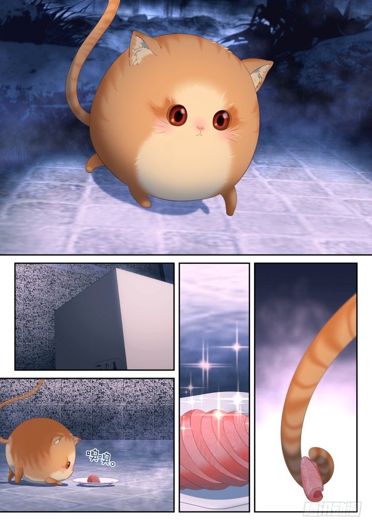 《异变生物可以吃》有关猫的秘密计划 第7页