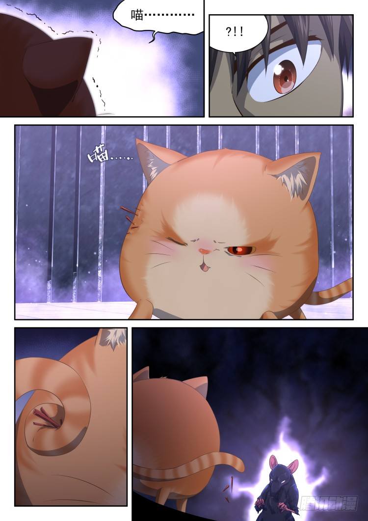 《异变生物可以吃》猫喜欢周秋实？ 第11页