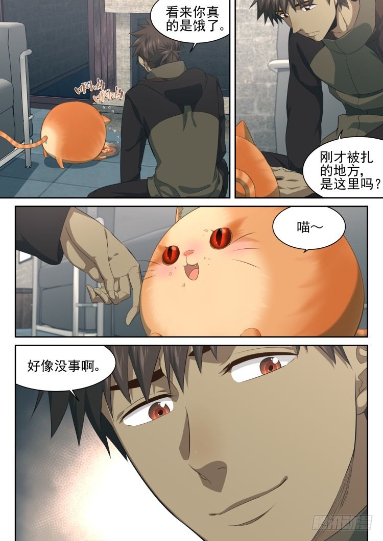 《异变生物可以吃》猫喜欢周秋实？ 第16页