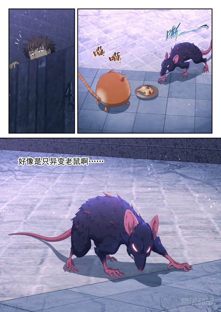 《异变生物可以吃》猫喜欢周秋实？ 第8页