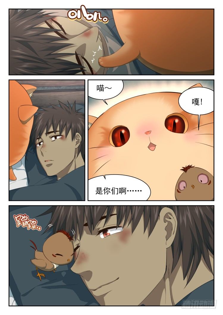 《异变生物可以吃》病人需要照顾 第8页