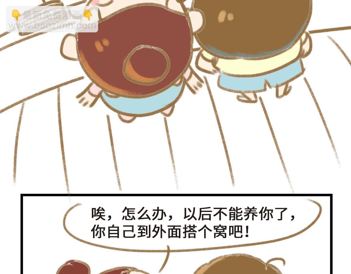 《七年之痒痒挠》怪她过分迷人 第15页
