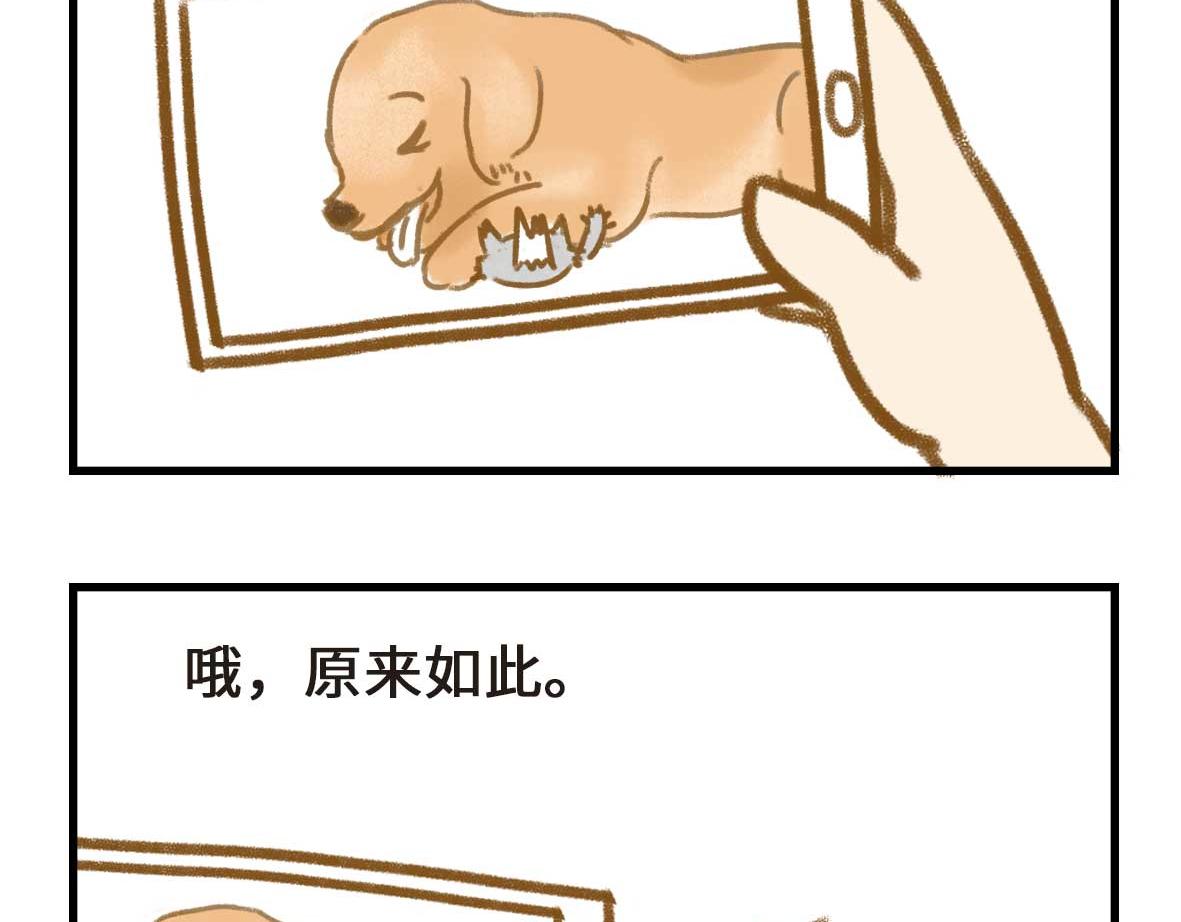 《七年之痒痒挠》男孩子的记忆力是个迷 第10页