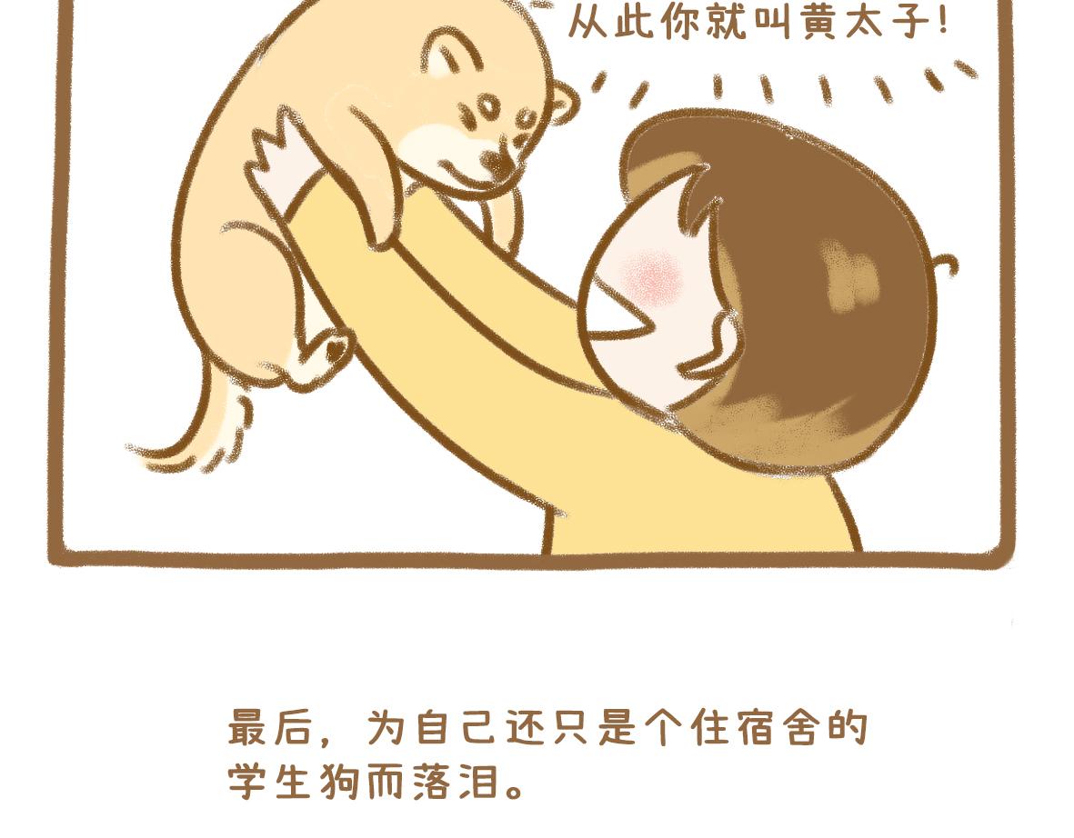 《七年之痒痒挠》当你的好朋友成为情侣 第17页