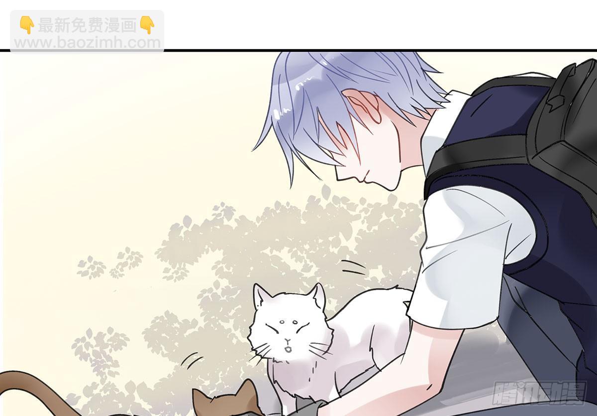 《斐然向风》颜斐的秘密 第13页