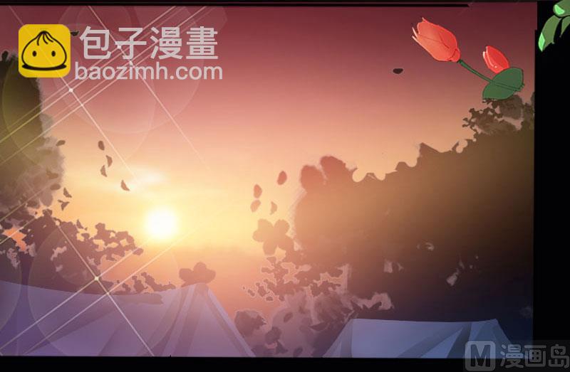 《天才酷宝BOSS宠妻太强悍》第1话 阴差阳错 第30页
