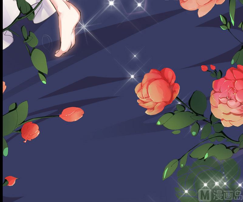 《天才酷宝BOSS宠妻太强悍》序章 第10页