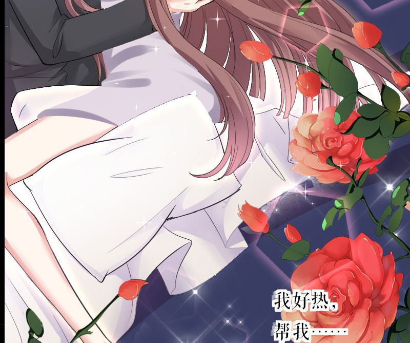 《天才酷宝BOSS宠妻太强悍》序章 第9页