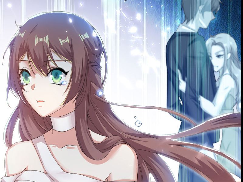 《天才酷宝BOSS宠妻太强悍》序章 第15页