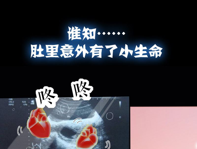 《天才酷宝BOSS宠妻太强悍》序章 第17页