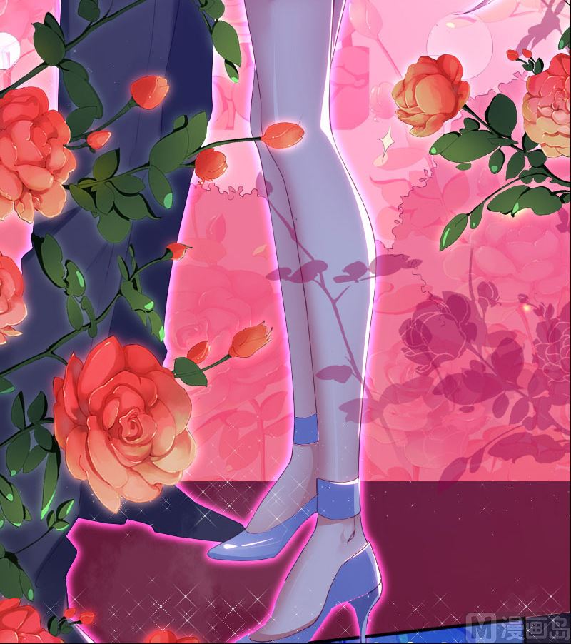 《天才酷宝BOSS宠妻太强悍》序章 第26页