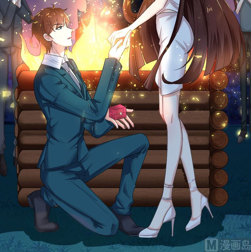 《天才酷宝BOSS宠妻太强悍》序章 第3页