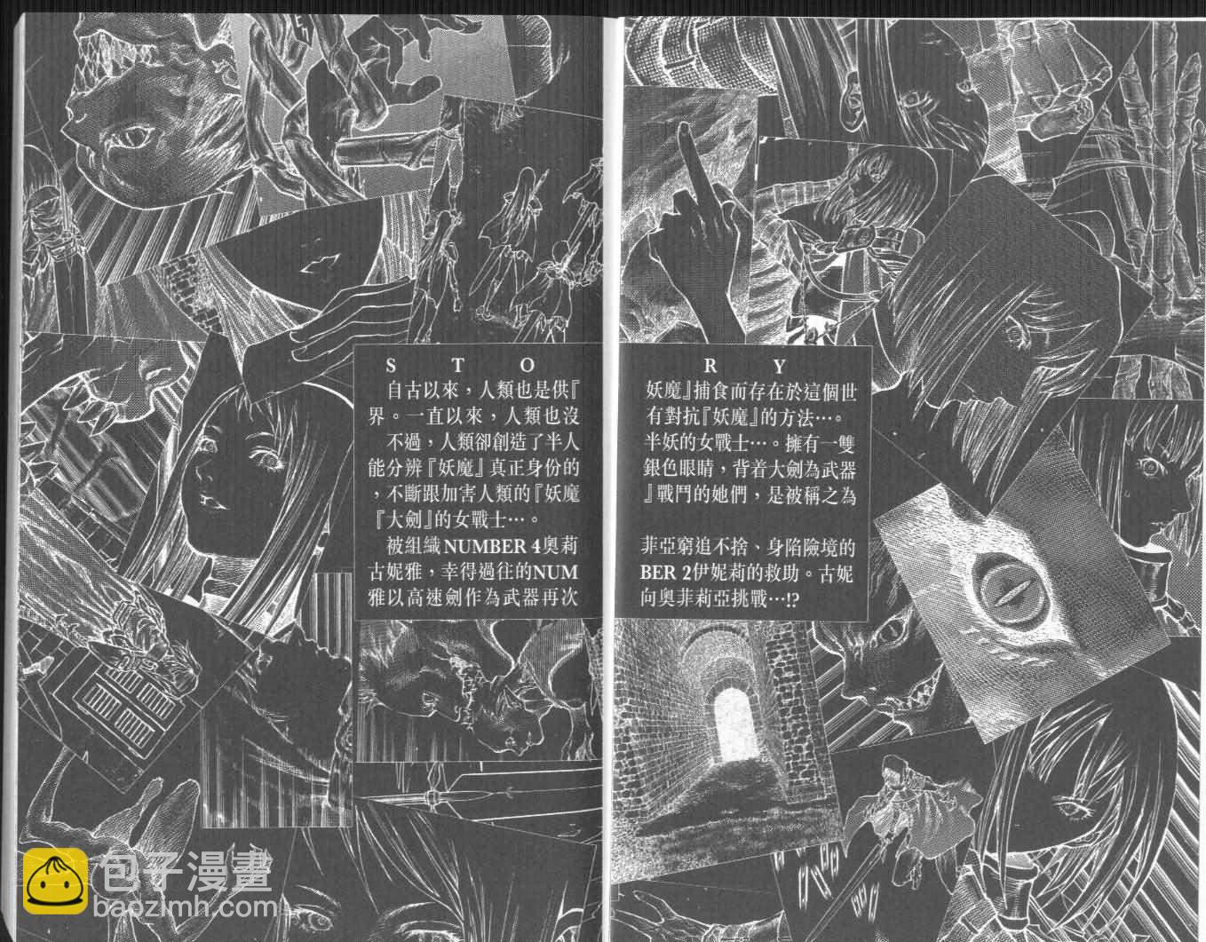 《Claymore大剑》第8卷 第3页
