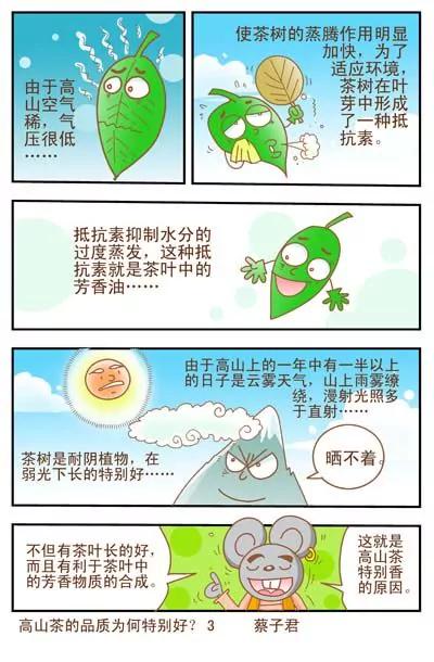 《猫和老鼠科普漫画》第2话 第3页