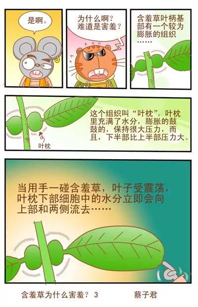 《猫和老鼠科普漫画》第4话 第3页