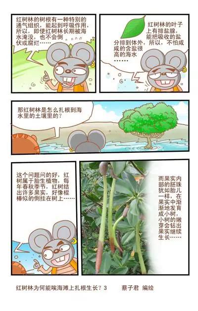 《猫和老鼠科普漫画》第6话 第3页